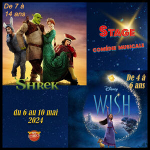 Shrek wish pour site