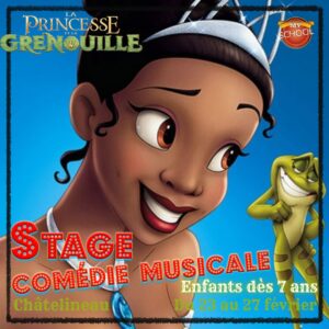 Stage comédie musicale - Enfants/ados : La princesse et la grenouille - Charleroi (Chatelineau) - Du 23 au 27 février 2026